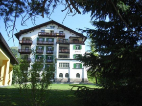 Отель Apartment Haus Altein Apartment Nr- 4  Давос Платц